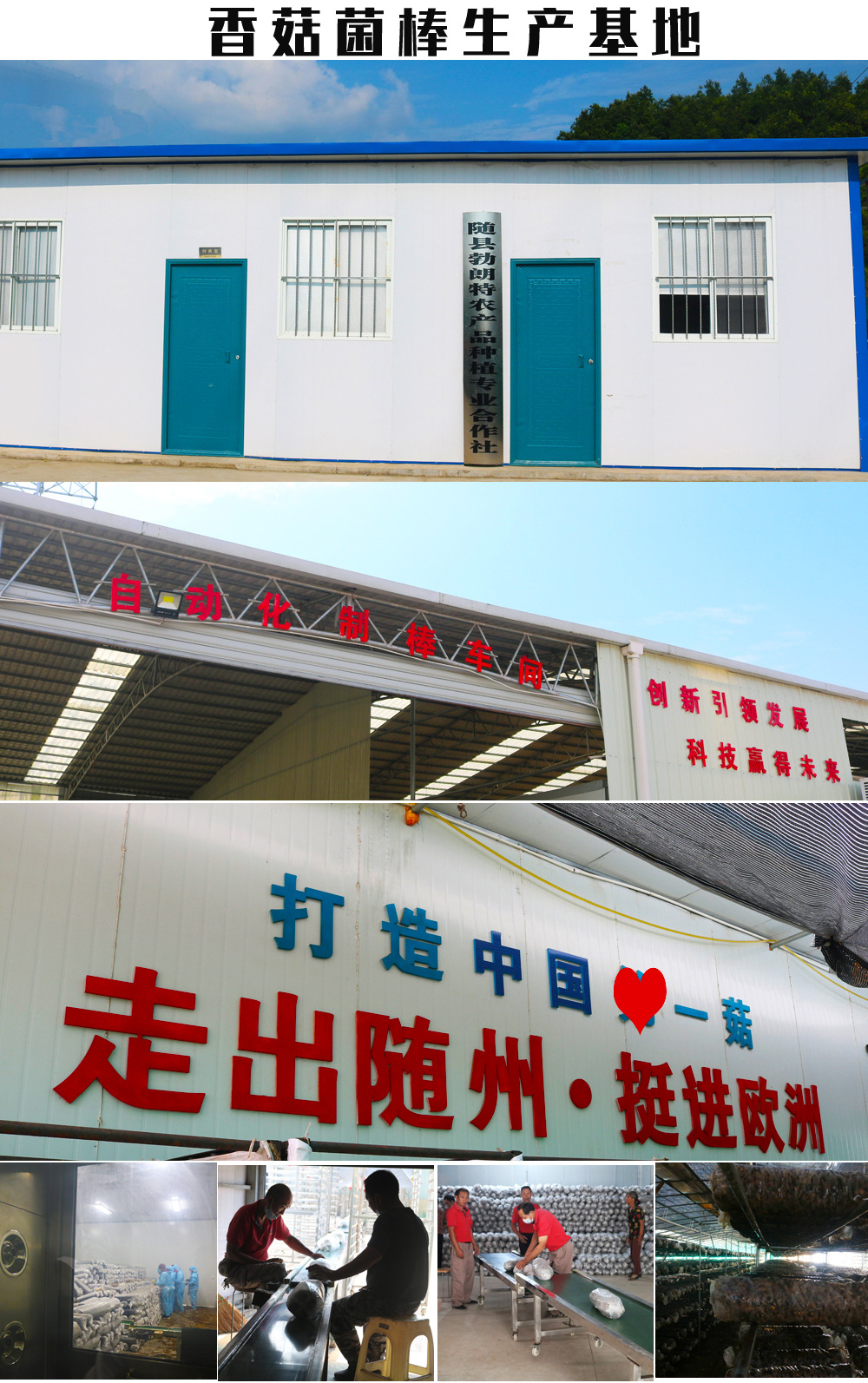 詳情2