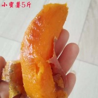 山東泗水地瓜番蜜薯新鮮紅心烤地瓜稀瓤煙薯25農(nóng)家迷你小山芋現(xiàn)挖