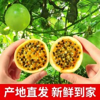 云南黃金百香果爽甜多汁現(xiàn)摘產(chǎn)地發(fā)貨3斤5斤紫皮欽蜜一件代發(fā)