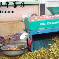 小型干核桃脫皮機(jī) 青核桃去皮清洗機(jī) 富樂 核桃去青皮機(jī)