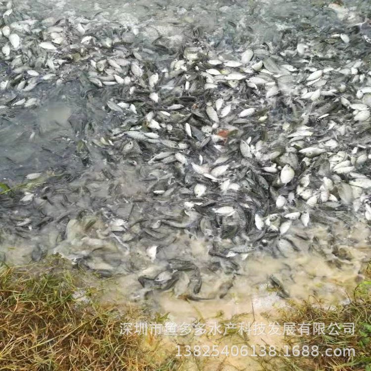 微信圖片_20220303105653