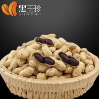 【黑花生源頭廠家直供】黑花生生果500g 新貨 帶殼生的 批發(fā)價(jià)