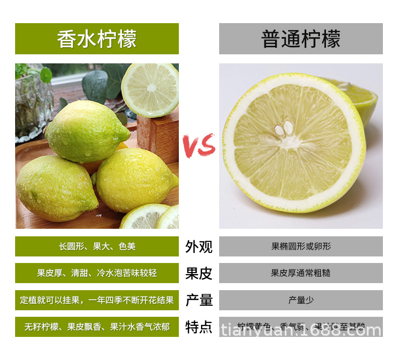 詳情-香水檸檬（青黃果）_03.jpg
