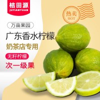 正宗產(chǎn)地廣東當(dāng)季香水檸檬次一級果新鮮現(xiàn)摘奶茶店用廠家直銷批發(fā)