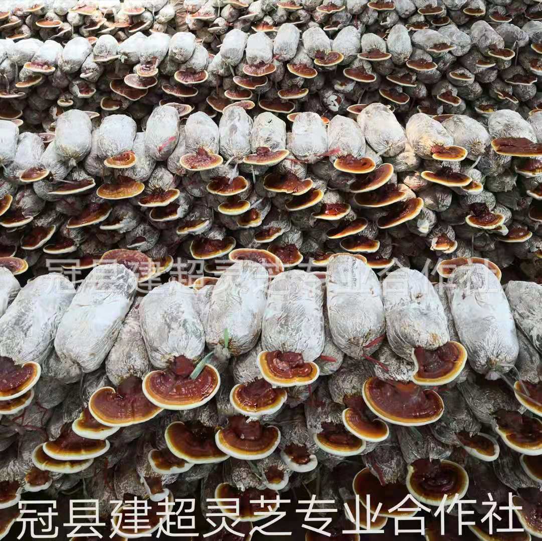 微信圖片_20190722171534.jpg