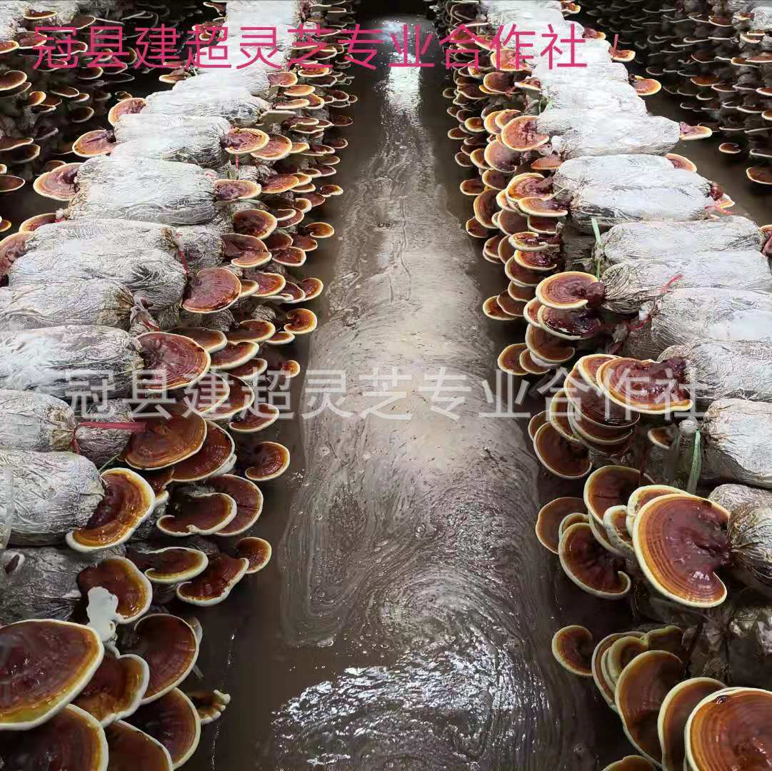 微信圖片_20190722171633.jpg