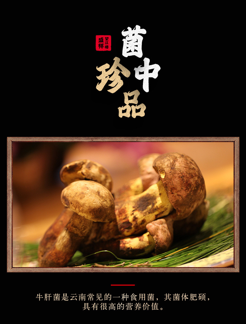 黃牛肝菌_05.jpg