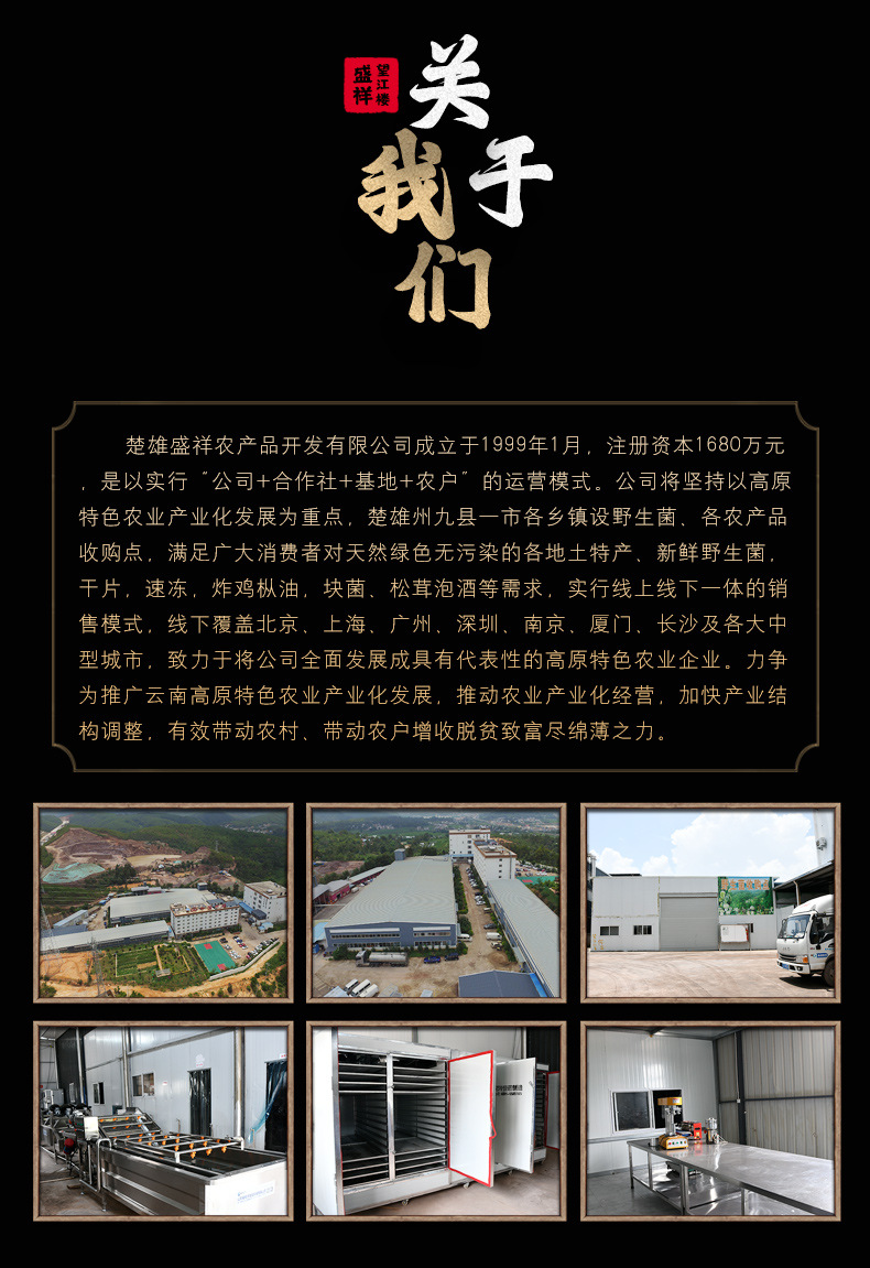 黃牛肝菌_12.jpg