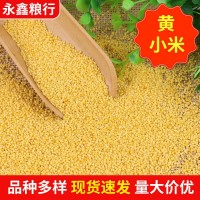 現(xiàn)貨供應(yīng)批發(fā)農(nóng)家黃小米 月子米黃金苗小米 袋裝五谷雜糧黃小米