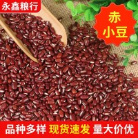 批發(fā)農(nóng)家自產(chǎn)長粒赤小豆 五谷雜糧袋裝赤小豆非紅小豆 袋裝可代發(fā)