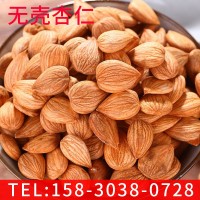 新品無(wú)殼杏仁 簡(jiǎn)包裝可口開口杏仁 休閑零食 廠家供應(yīng)