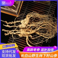 廠家直銷(xiāo)長(zhǎng)白山林下參 正品野山參15年25年移山參籽貨干參禮盒