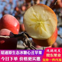 云南昭通蘋果高原紅富士冰糖心丑蘋果新鮮水果5斤9斤包郵