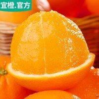 宜橙 紐荷爾臍橙 3斤5斤9斤 高甜微酸 爆汁橙子 湖北現(xiàn)摘新鮮水果