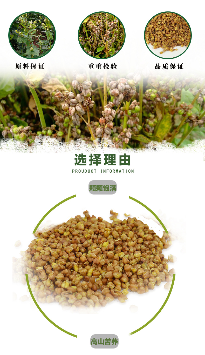 綠_02.jpg