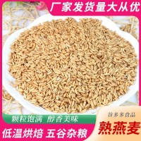 低溫烘焙熟燕麥米 五谷雜糧磨粉現(xiàn)磨豆?jié){原料供應(yīng)廠家批發(fā)
