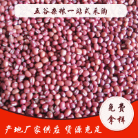 紅豆大量批發(fā) 原料豆類(lèi)粗糧 五谷雜糧 嬰幼兒傷員病號(hào)改善伙食