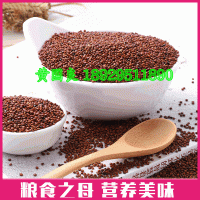 紅藜麥米500g孕婦寶寶粗糧優(yōu)質龍芽米非即食五谷雜糧優(yōu)質紅藜麥