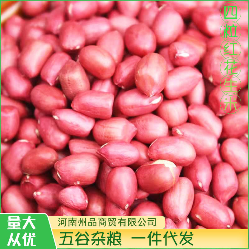 主圖13
