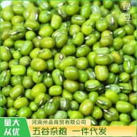 綠豆500g新貨農(nóng)家自產(chǎn)散裝綠豆湯小綠豆類雜糧發(fā)豆芽批發(fā)五谷雜糧