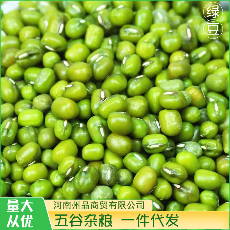 主圖16
