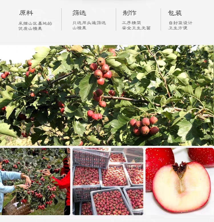 微信圖片_20191009151251