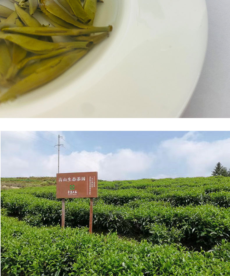 畫板-1_08.jpg