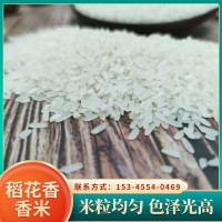 現(xiàn)貨供應稻花香米 農(nóng)家香米15kg 長粒xian米 良優(yōu)米 大米廠家批發(fā)