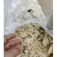 大量出售新鮮家畜飼料黃豆渣禽畜養(yǎng)殖豬鵝鴨雞飼料混養(yǎng)魚飼料通用