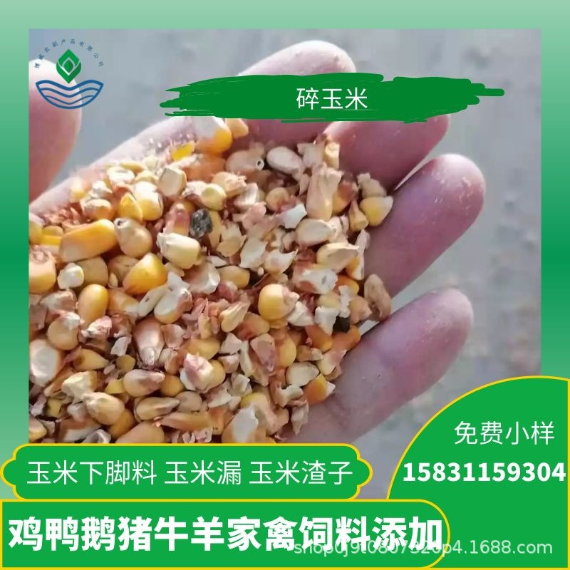 碎玉米8
