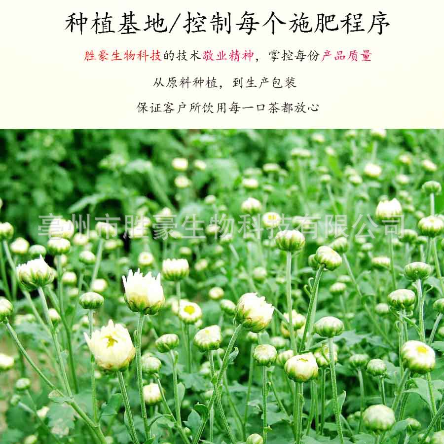種植基地圖