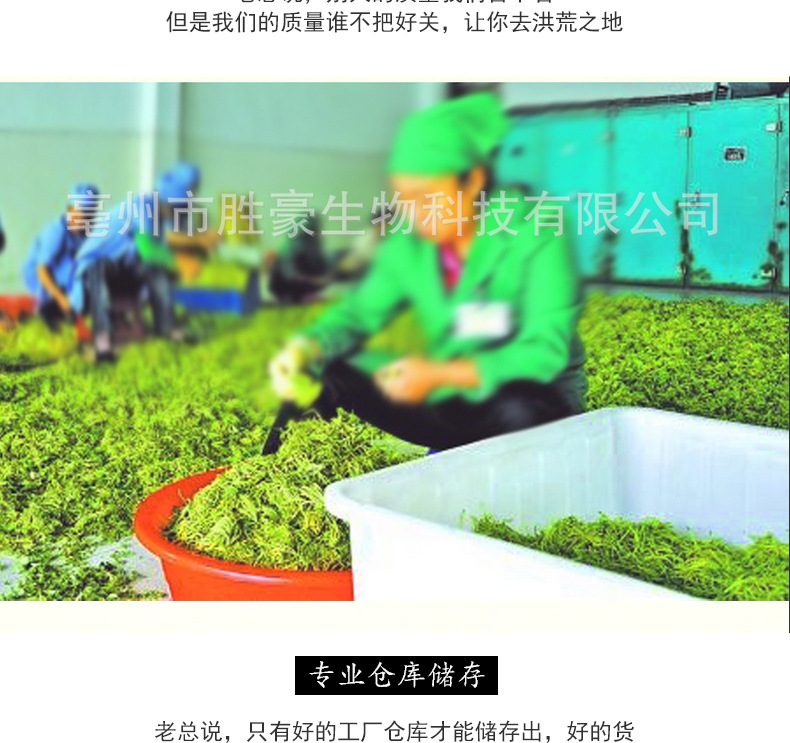 金銀花_16.jpg