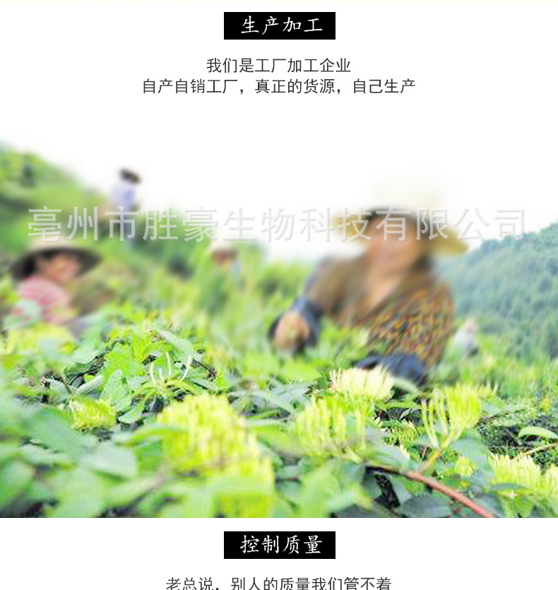 金銀花_15.jpg