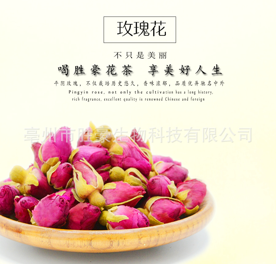 平陰玫瑰花1