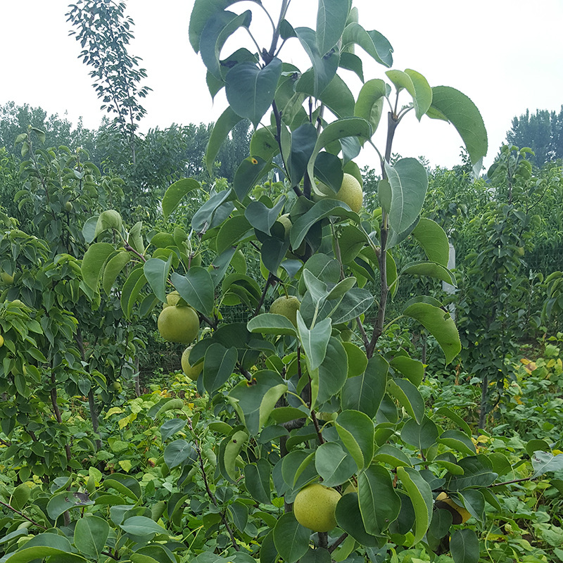 20170720_102229.jpg