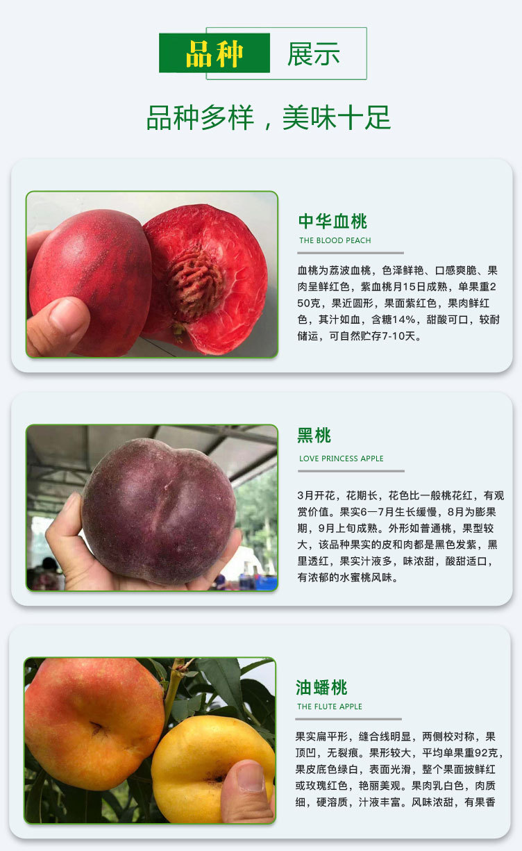 桃-詳情頁_05.jpg