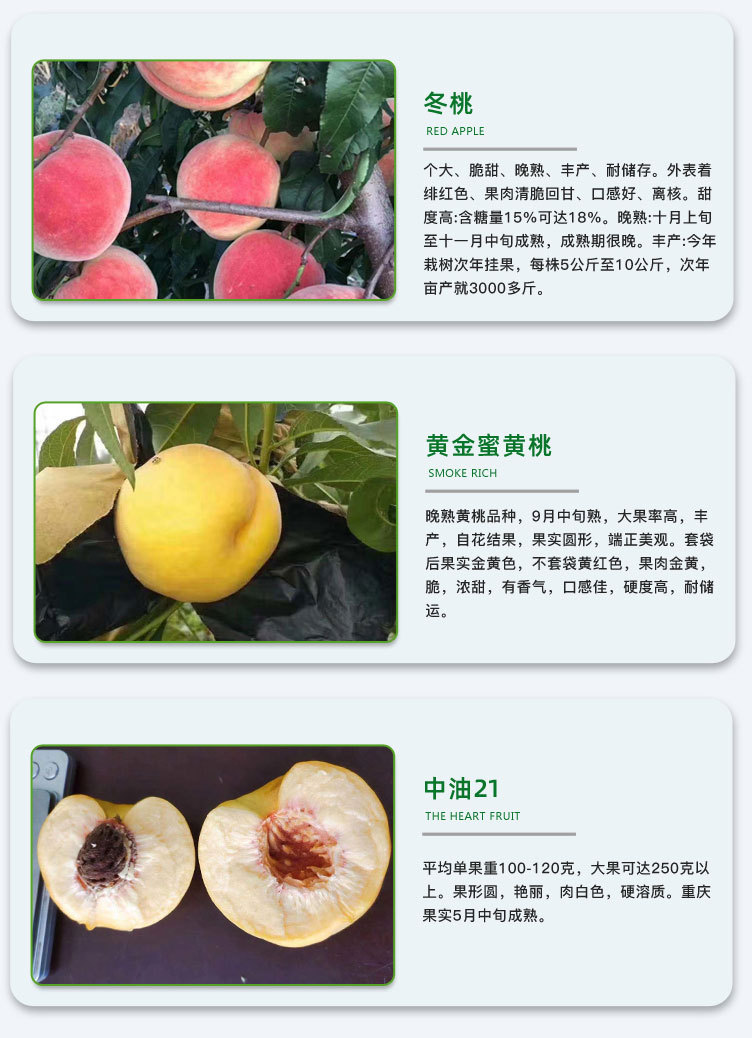 桃-詳情頁_06.jpg