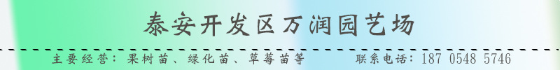 萬(wàn)潤(rùn)園藝場(chǎng)