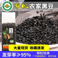 山西有機黑豆農(nóng)家真空裝腎形黃心黑豆500g五谷雜糧非綠心黑豆批發(fā)