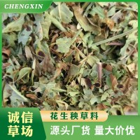 正陽花生秧牧草牛羊草料 廠家批發(fā)動物飼料 牛羊青貯花生秧粗飼料