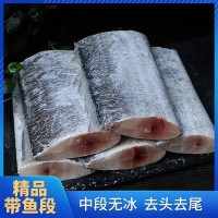精品無冰衣帶魚段500克 帶魚新鮮冷凍海鮮刀魚中段鮮活帶魚1KG