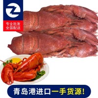 現(xiàn)貨供應保稅區(qū)冷凍海鮮波士頓龍蝦 進口冷凍龍蝦 支持定制