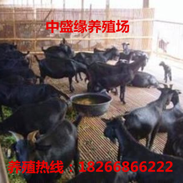 u=871209063,1036133946&