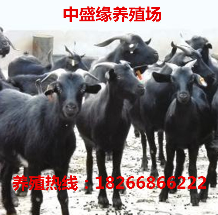u=435436517,2786691794&