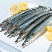 海鮮水產(chǎn)品秋刀魚 冰凍新鮮水產(chǎn)秋刀魚 優(yōu)質(zhì)冷凍秋刀魚 野生 特價(jià)