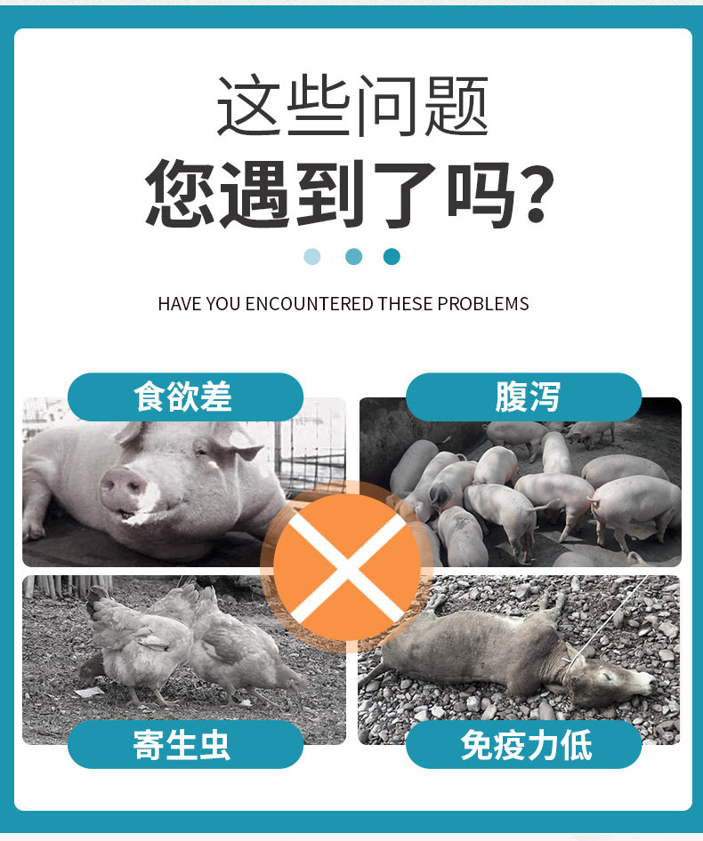 秘魯魚粉_02.jpg