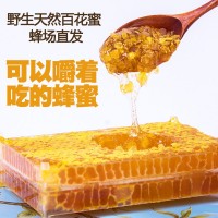 蜂場(chǎng)現(xiàn)貨百花巢蜜一件代發(fā)土蜂蜜成熟蜜百花巢蜜