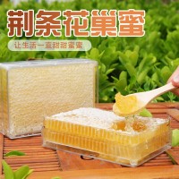 蜂場(chǎng)現(xiàn)貨荊條蜂巢蜜批發(fā)散裝土蜂蜜500g成熟蜂巢蜜