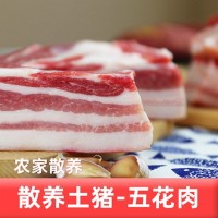 紅燒肉帶皮五花肉整塊土豬肉黑豬肉新鮮現(xiàn)殺山林散養(yǎng)烤肉整箱批發(fā)