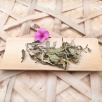 詠普號(hào)白茶 鳳慶大葉種老白茶 產(chǎn)地平河大古樹(shù)葉子 不炒不揉不曬